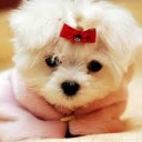 สมาชิกหมายเลข 2231546