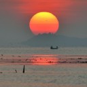 สมาชิกหมายเลข 1481682