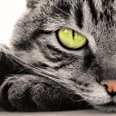 สมาชิกหมายเลข 992441