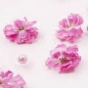 สมาชิกหมายเลข 992611