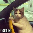 สมาชิกหมายเลข 992761