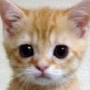 สมาชิกหมายเลข 1391317