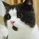 สมาชิกหมายเลข 1065547