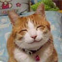 สมาชิกหมายเลข 3034153