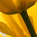 สมาชิกหมายเลข 844142