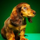 อิทธิพลานุภาพ