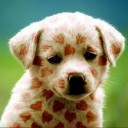 สมาชิกหมายเลข 992878