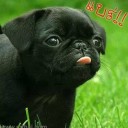 สมาชิกหมายเลข 1822099