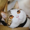 สมาชิกหมายเลข 1822479