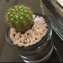 สมาชิกหมายเลข 1161238