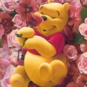 สมาชิกหมายเลข 993294