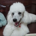 สมาชิกหมายเลข 993319