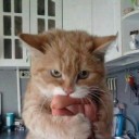 สมาชิกหมายเลข 993323