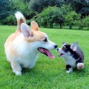 สมาชิกหมายเลข 993462