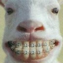 สมาชิกหมายเลข 1195918