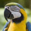 สมาชิกหมายเลข 993176