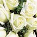 สมาชิกหมายเลข 993490