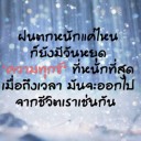 สมาชิกหมายเลข 2233281