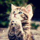 สมาชิกหมายเลข 3492115