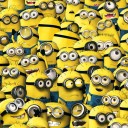 สมาชิกหมายเลข 3492271