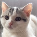 สมาชิกหมายเลข 801170