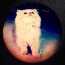 สมาชิกหมายเลข 900005