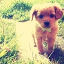 สมาชิกหมายเลข 1437570