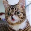 สมาชิกหมายเลข 2233010