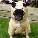 สมาชิกหมายเลข 994430