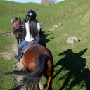 สมาชิกหมายเลข 1383594