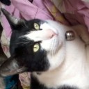 สมาชิกหมายเลข 1399149