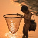 บ้านปีกไม้