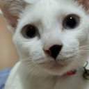 สมาชิกหมายเลข 2233527