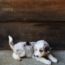 สมาชิกหมายเลข 3493063