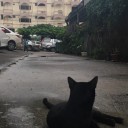 สมาชิกหมายเลข 3493064