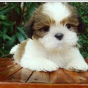 สมาชิกหมายเลข 1824608