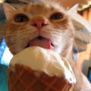 สมาชิกหมายเลข 1279829