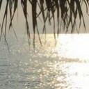 สมาชิกหมายเลข 3030117