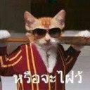 สมาชิกหมายเลข 3036833