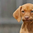 สมาชิกหมายเลข 3493508