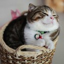 สมาชิกหมายเลข 3493768