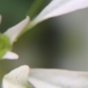 สมาชิกหมายเลข 1825151