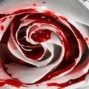 สมาชิกหมายเลข 1825246