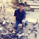 มะเหมียวๆ