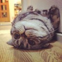 สมาชิกหมายเลข 911515