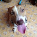 สมาชิกหมายเลข 2217171