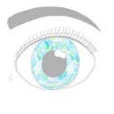 สมาชิกหมายเลข 2235029