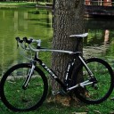 สมาชิกหมายเลข 995589