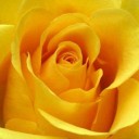 สมาชิกหมายเลข 1240765