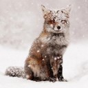 สมาชิกหมายเลข 1401666